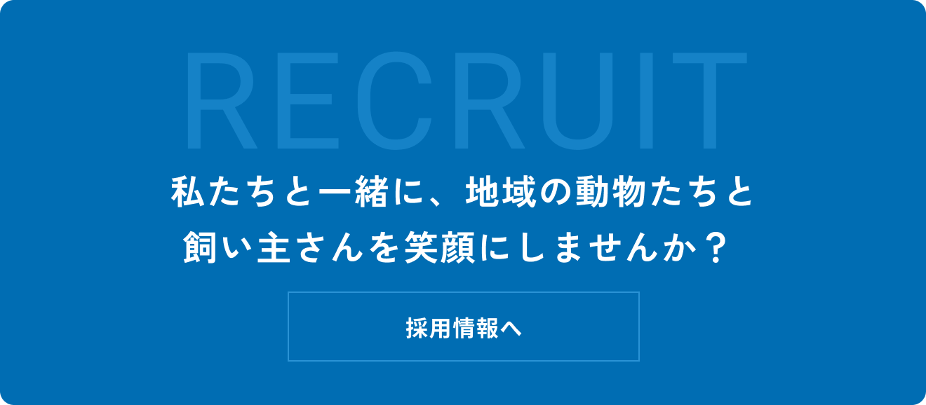 採用情報へ