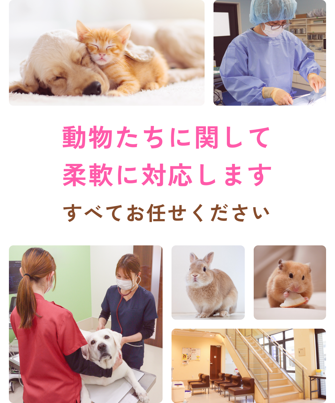 動物たちに関して柔軟に対応します。すべてお任せください